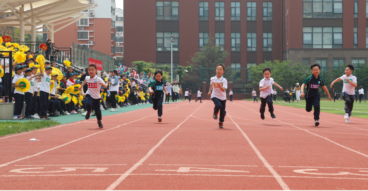 ：海信學校：黑馬是怎樣鍊成的？